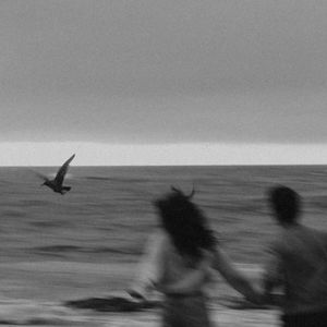 无码中文资源在线播放
