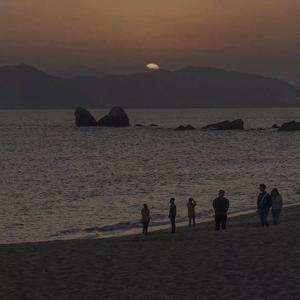 无码中文资源在线播放
