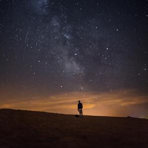 无码中文资源在线播放
