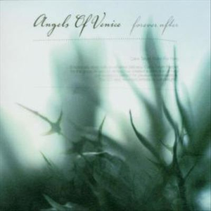 无码中文资源在线播放
